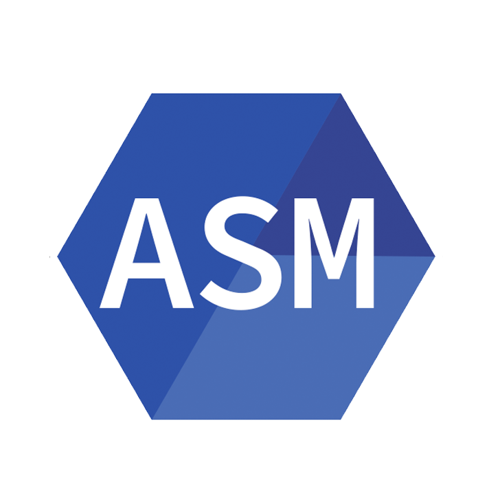 ARM Assembly